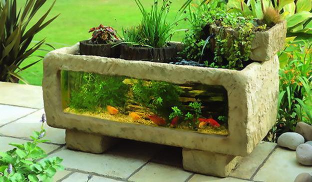 Unusual Fish Tanks Aquariums