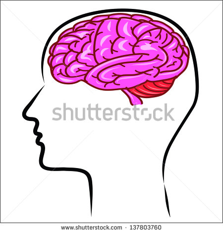 Vector Human Brain Outline