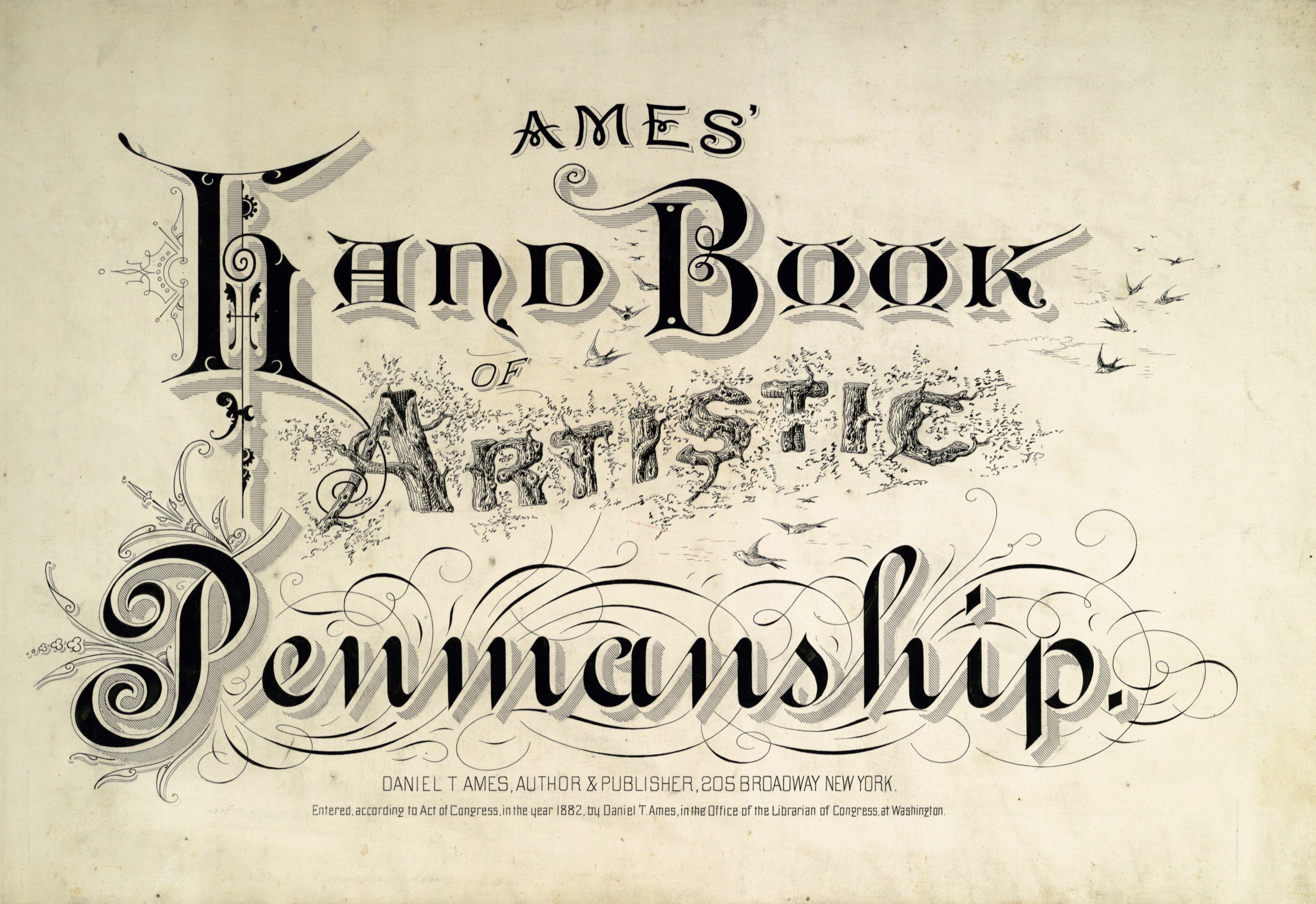 Vintage Typography Fonts