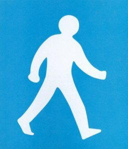 Walking Man Icon
