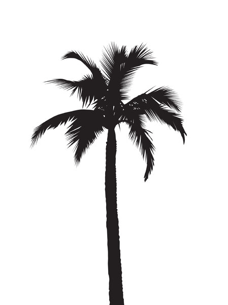 White Palm Tree Silhouette