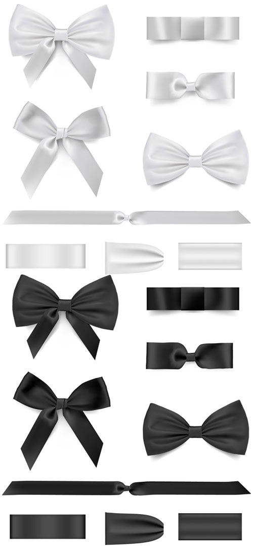 White Ribbon Bow Vector