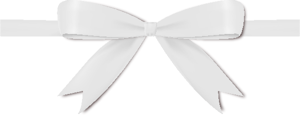 White Ribbon Bow Vector