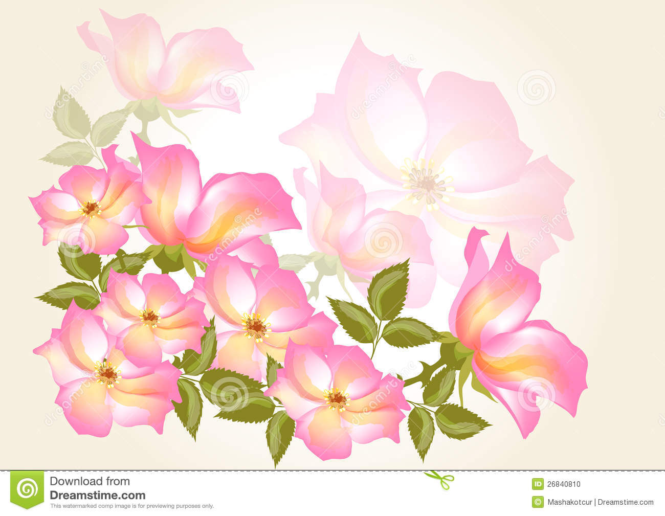 Wild Rose Flower Vector