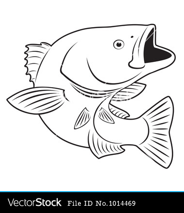 Bass Fish Vector Art