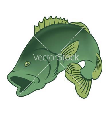Bass Fish Vector Art