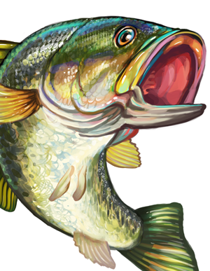 Bass Fish Vector Clip Art