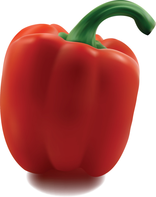 Bell Pepper Illustration