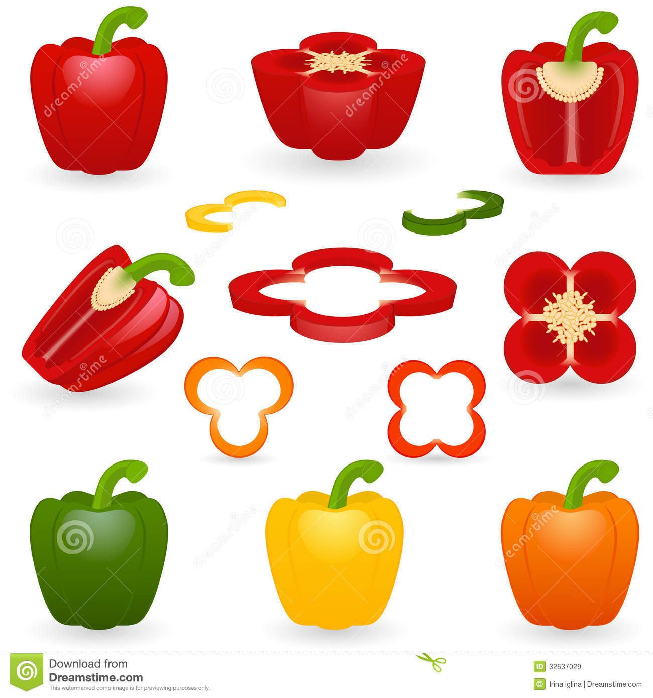 Bell Pepper Vector