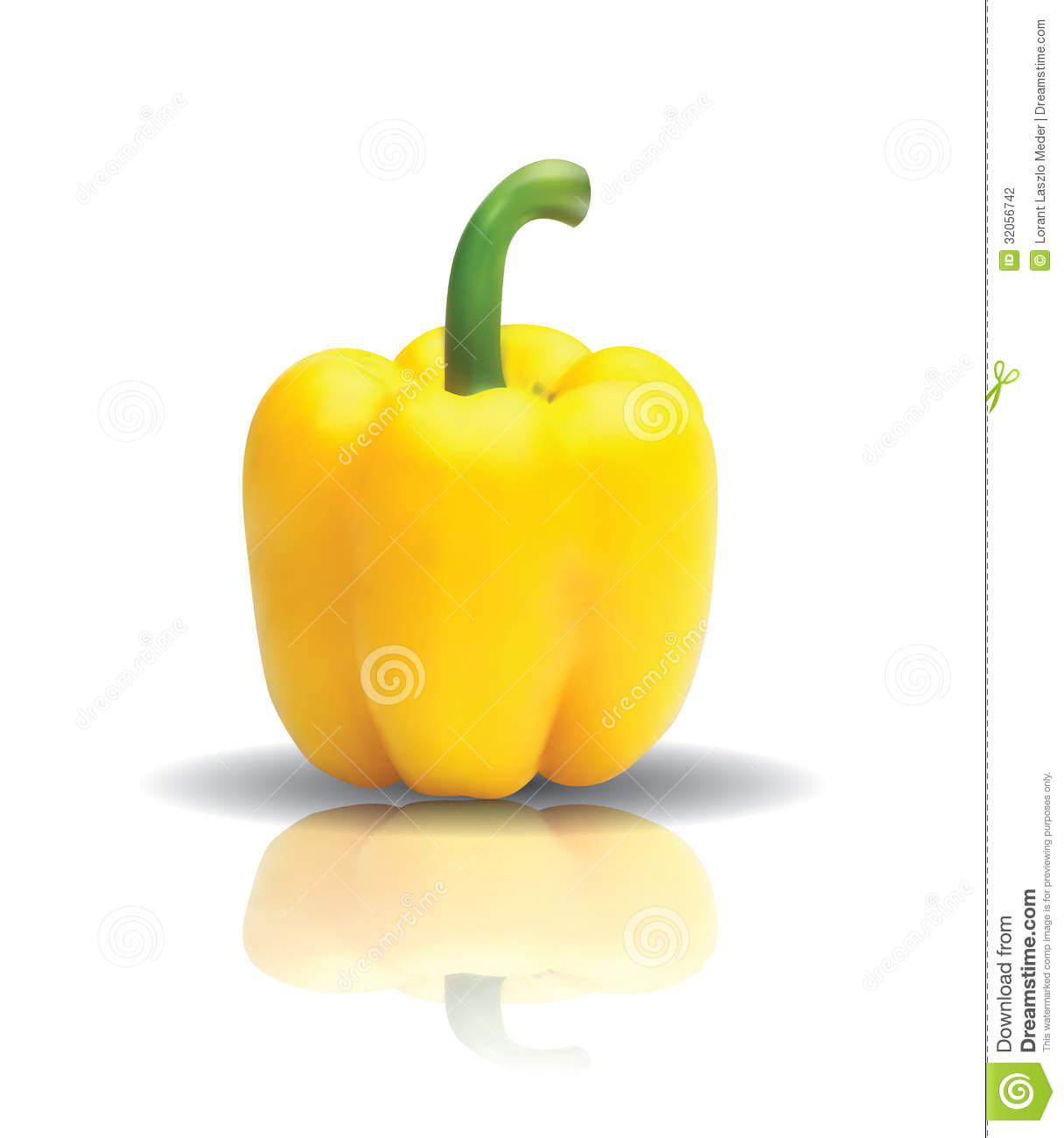 Bell Pepper Vector