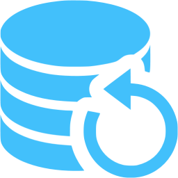 Database Backup Icon