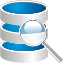 Database Search Icon