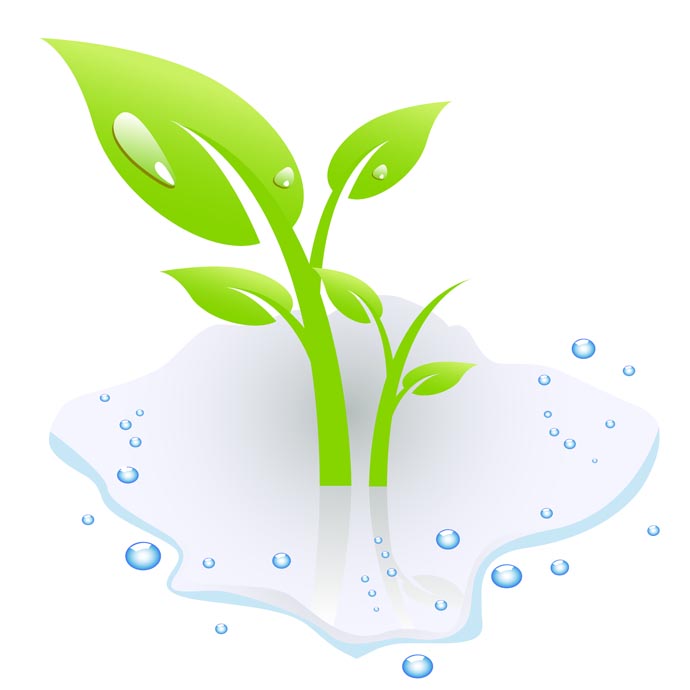 10 Vector Watering Plants Images