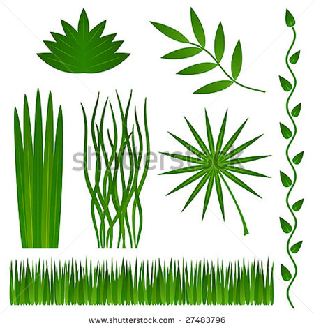 Grass and Leaves Vector