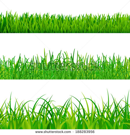 Grass Vector Art