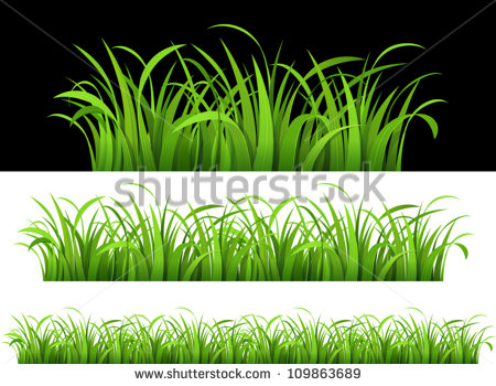 Grass Vector Illustration Grass Vector Illustration