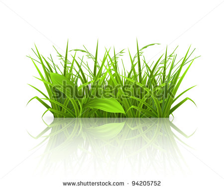 Greengrass Vector