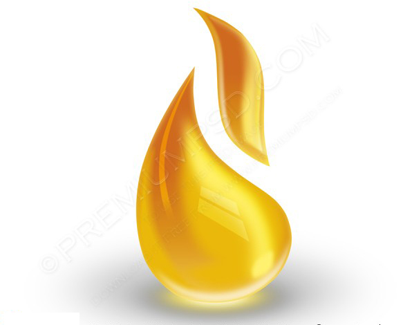 Logo IP with Flame