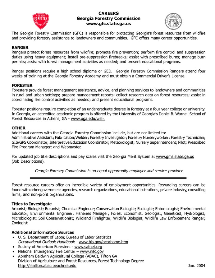 Plain Text Resume Example