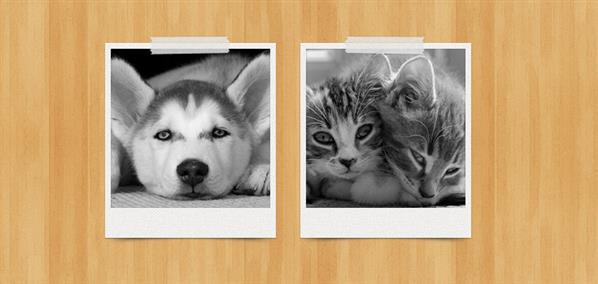 Polaroid Frames PSD Templates Polaroid Frames PSD Templates