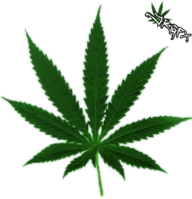 Pot Leaf Graphics