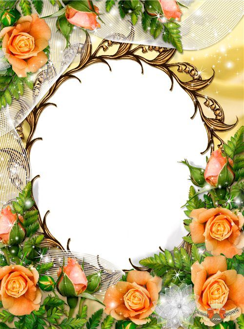 Romantic Photo Frames Free Download