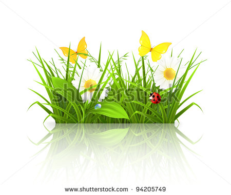 Spring Grass Vector Spring Grass Vector