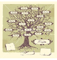 Family Tree Vector Art