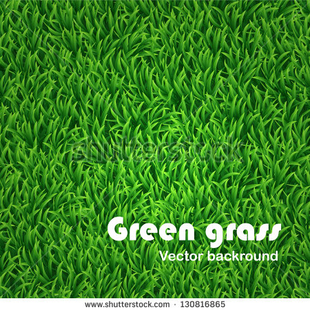 Vector Grass Texture