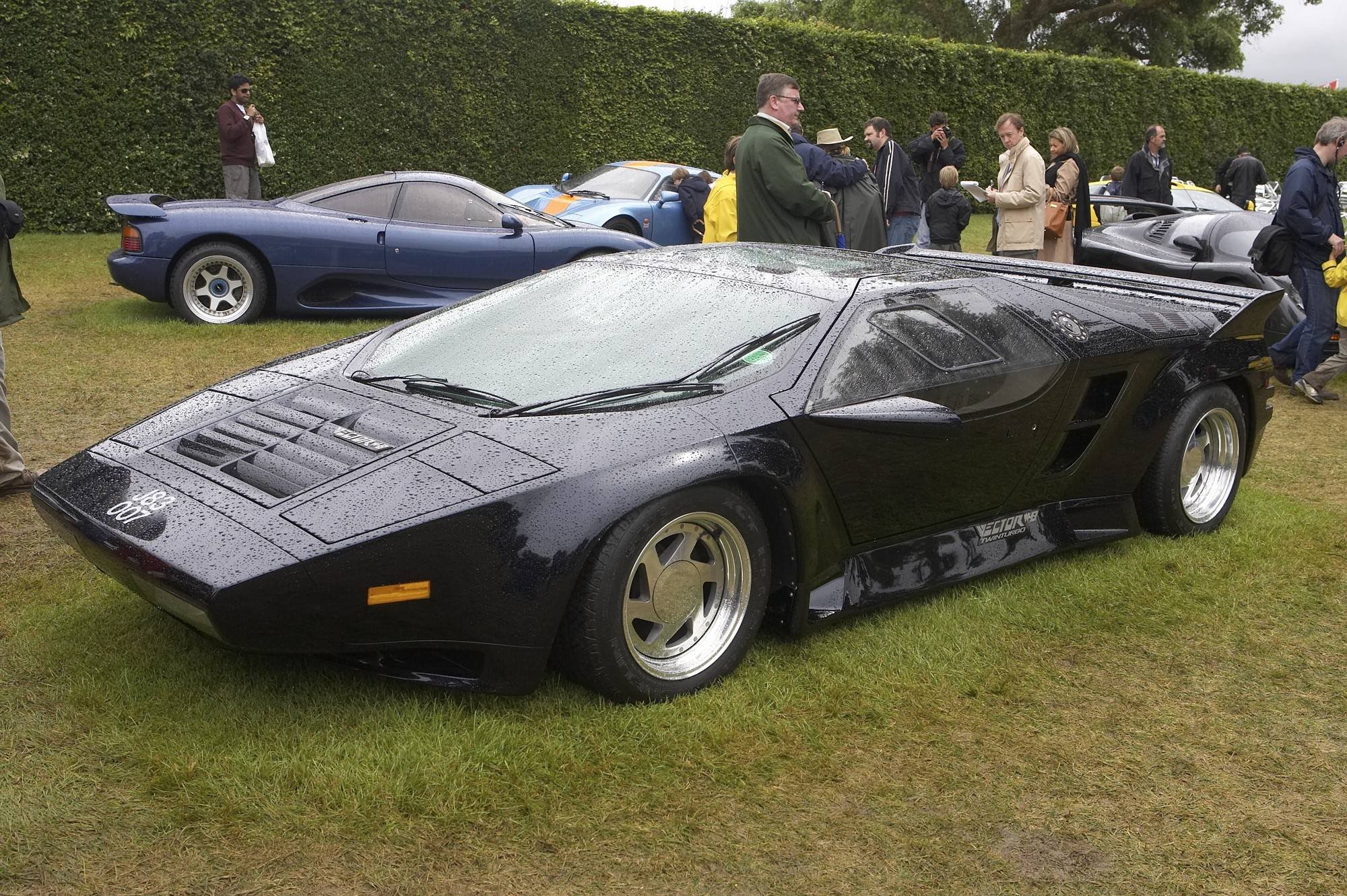 Vector W8 Vector W8