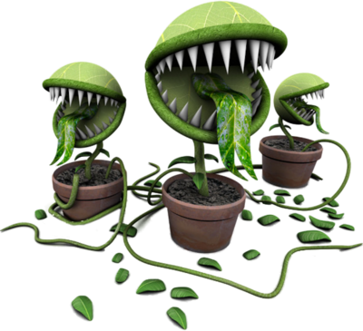 Venus Fly Trap