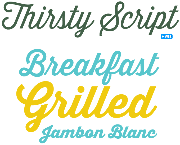 9 Vintage Script Font Images