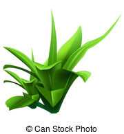 Water Plants Clip Art