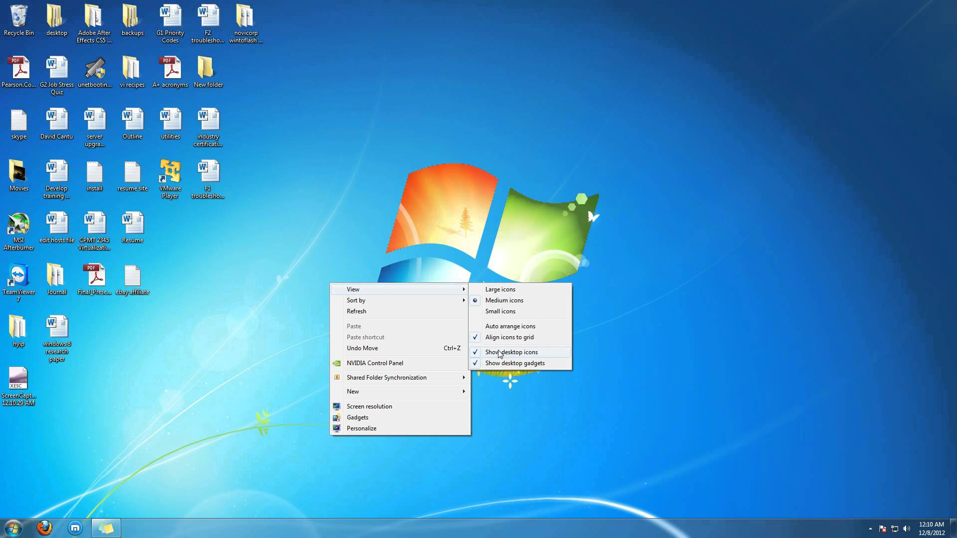 Windows 7 Desktop Icons