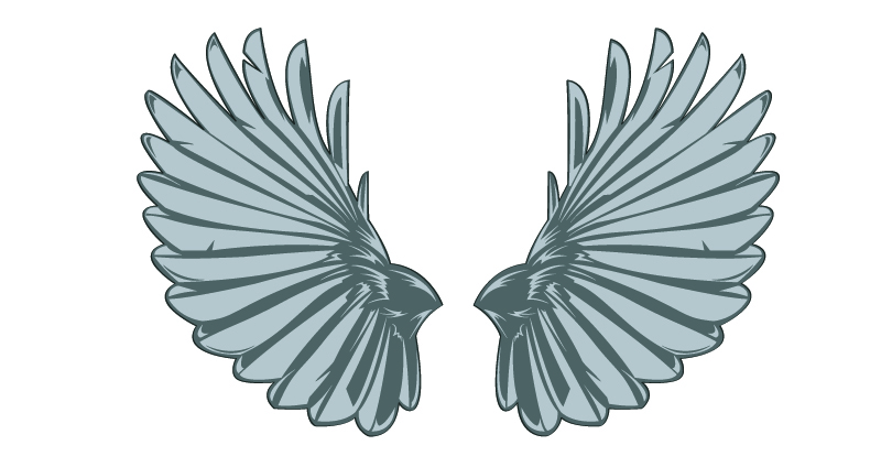 Wings Vector Free Download