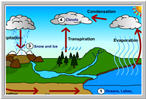 3rd Grade Water Cycle