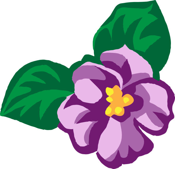 8 Violets R Vector Images