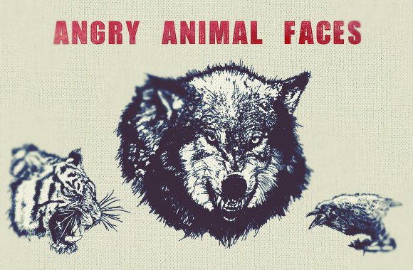 Angry Animal Faces