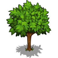 Apple Tree Icon