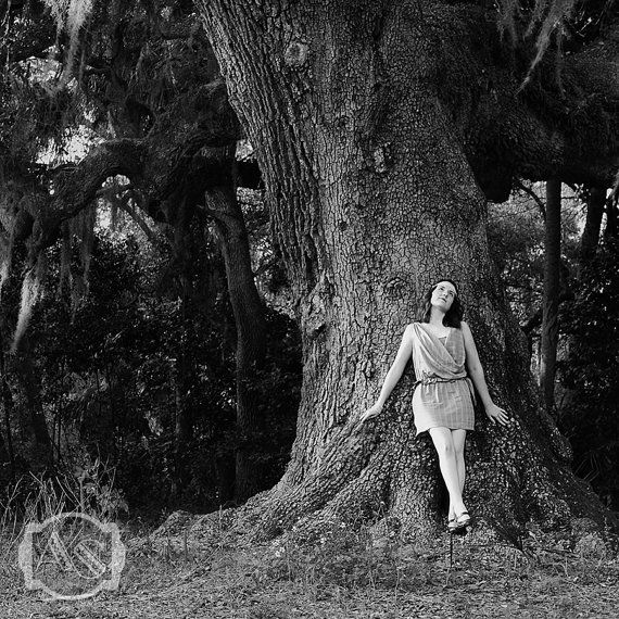 Black and White Tree Landscape