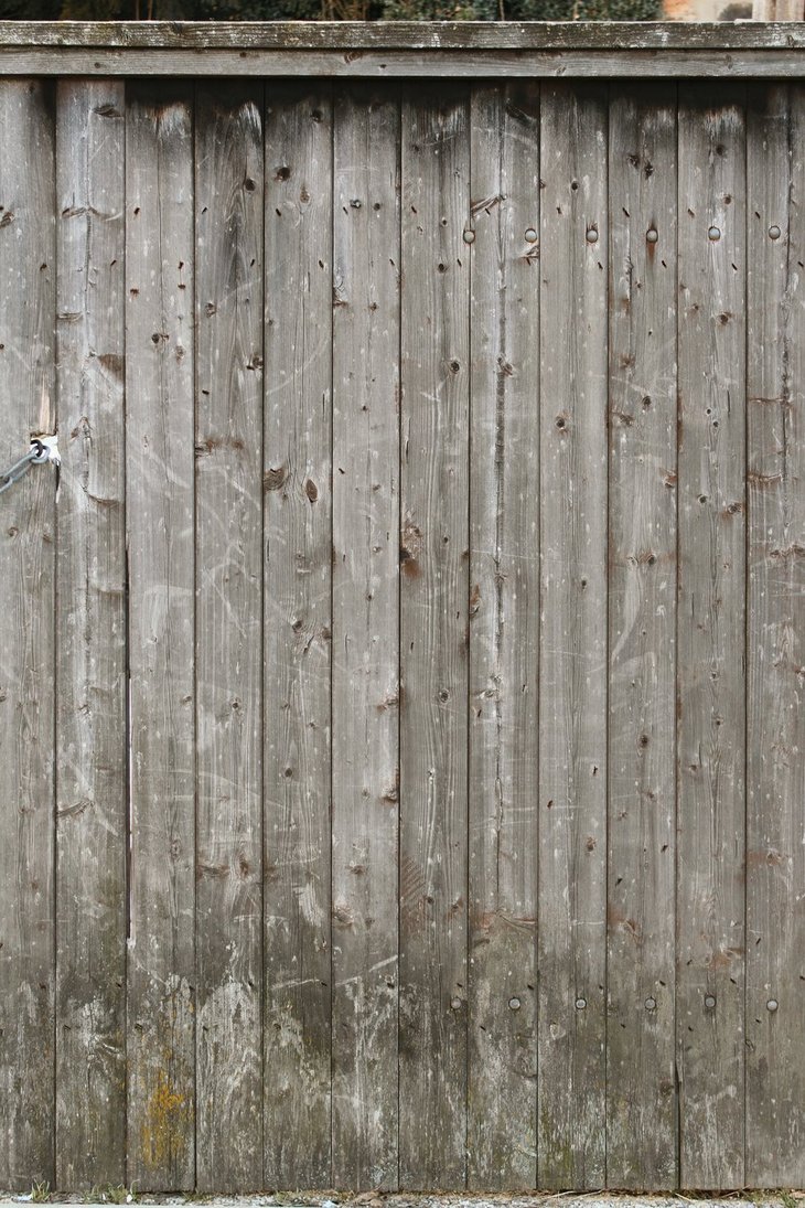 Bleached Wood Texture