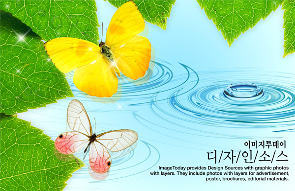 Butterfly Watermark