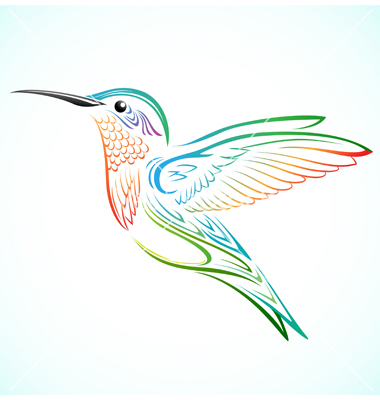 Colorful Hummingbird Vector