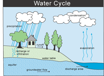 Definition of Water Cycle