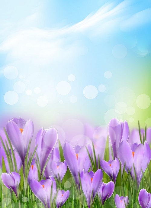 Flower Free Spring Wallpaper