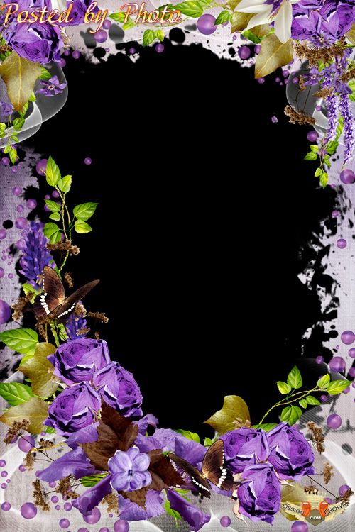 Free Photoshop Photo Frame Flowers