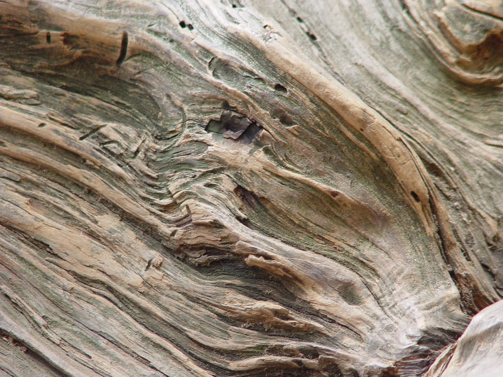 Free Photoshop Wood Texture