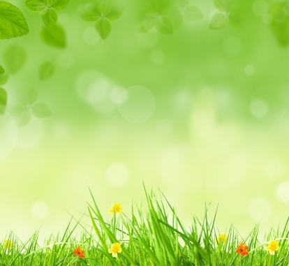 Free Psd Spring Background