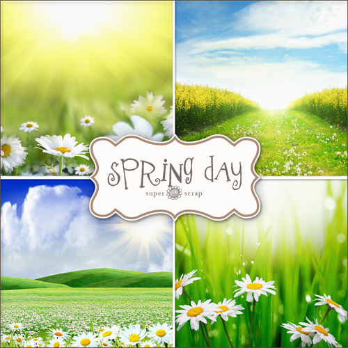 Free Psd Spring Background