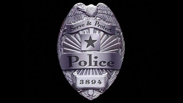 Generic Police Officer Badge